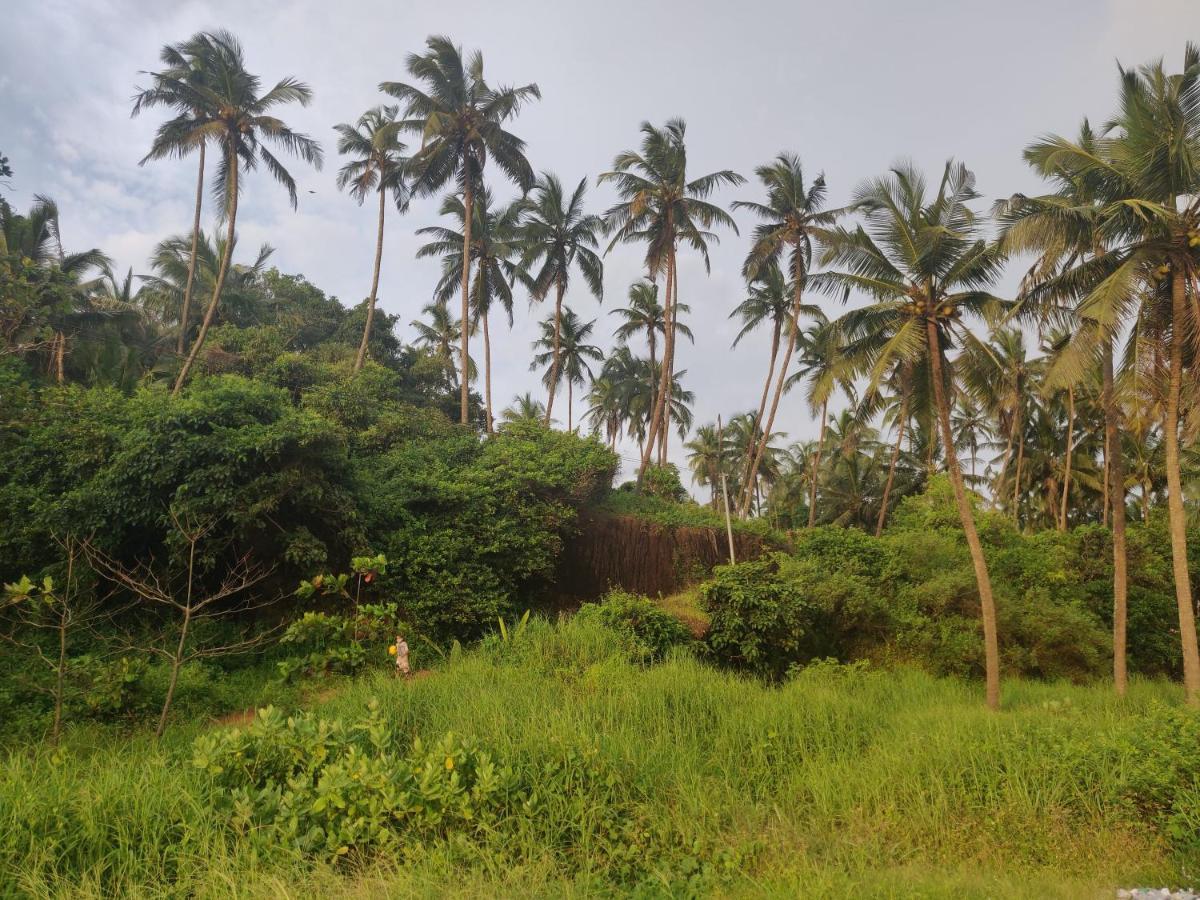 Sunshine Service Villa Kannur Bagian luar foto
