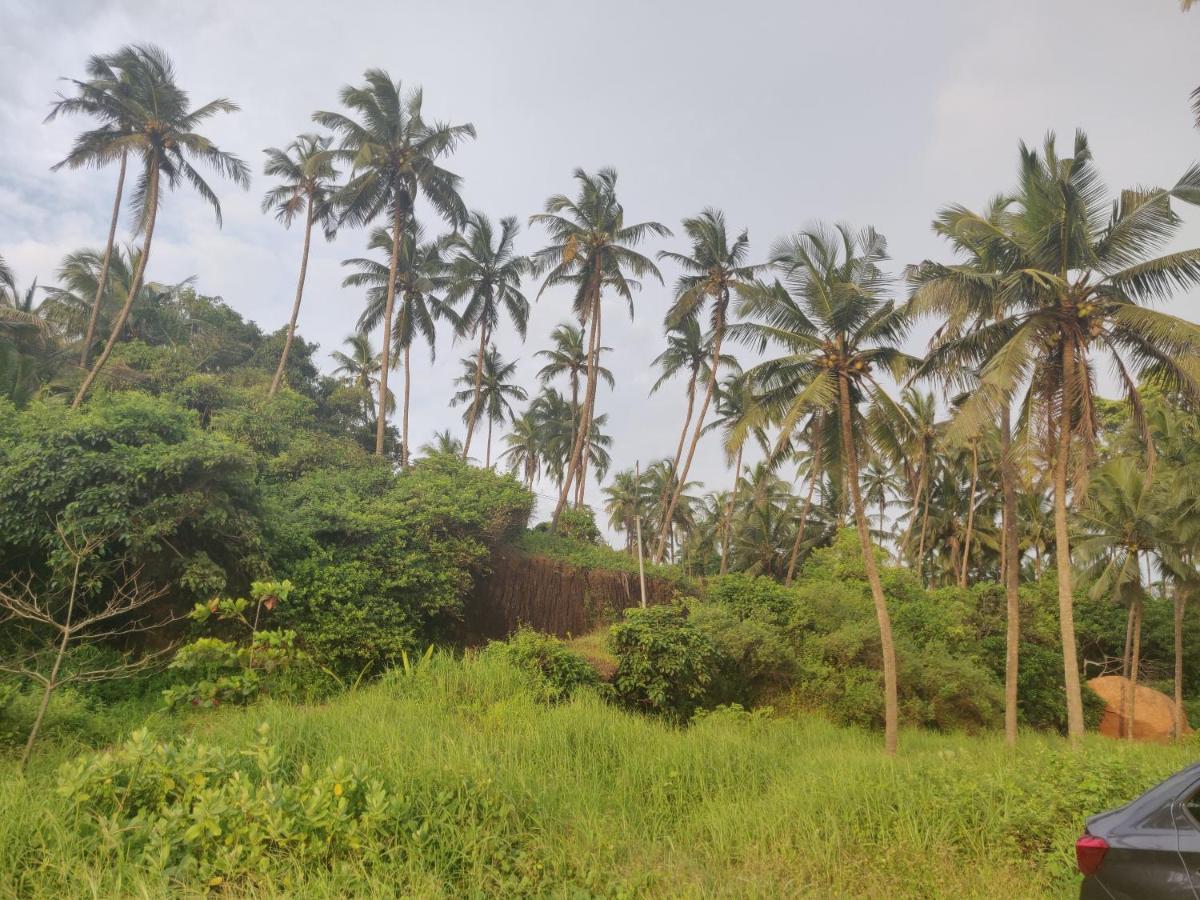 Sunshine Service Villa Kannur Bagian luar foto