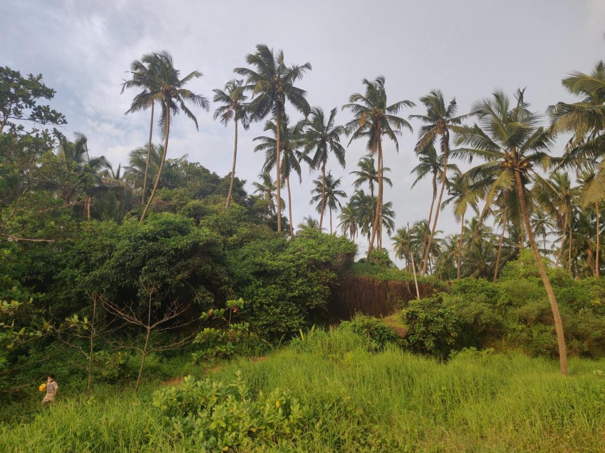 Sunshine Service Villa Kannur Bagian luar foto